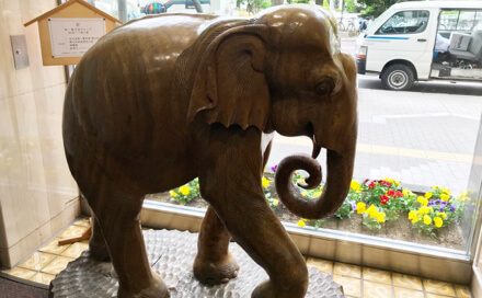昭和ビル入口にある象の置物